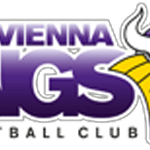 ViennaVikingsLogo600x150