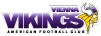 ViennaVikingsLogo_03