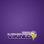 Vikings-Maintenance