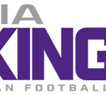 Dacia_Vikings_Logo_CMYK@0,75x