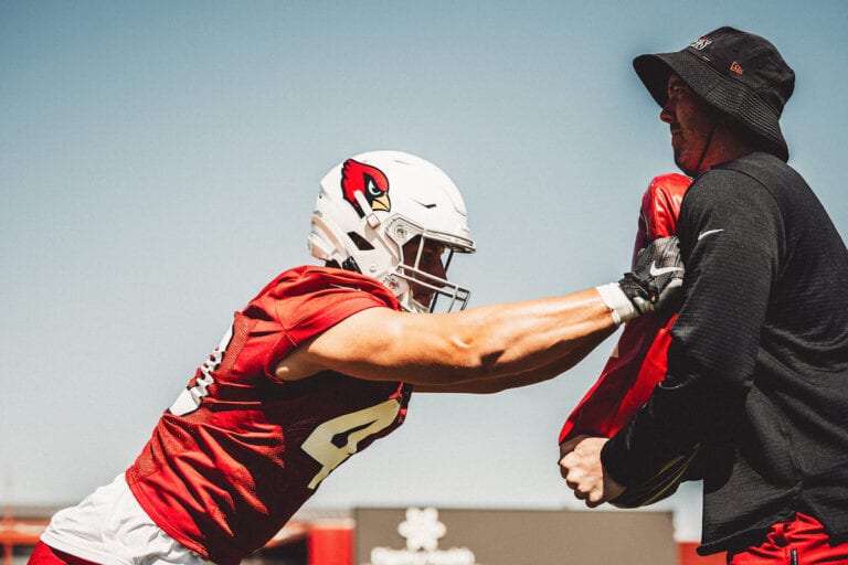 Grüße aus Arizona – Cardinals TE Bernhard Seikovits im Zoom Call mit österreichischen Medien